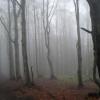 szlak czerwony - gdzieś na trasie, Roman Świątkowski