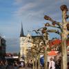 Rynek w Pszczynie