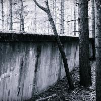 , Dominik Dobros