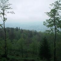 Bielsko Biała, Roman Świątkowski