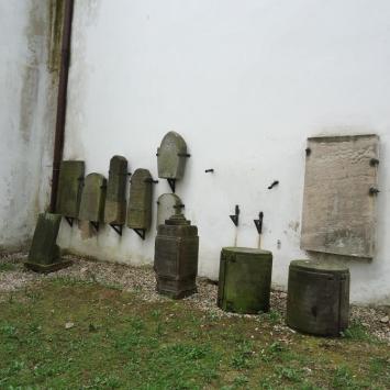 , Ela