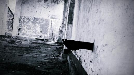 , Dominik Dobros
