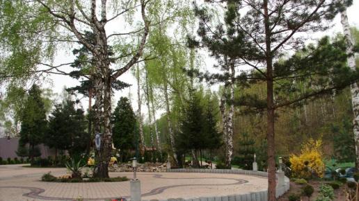 , mokunka