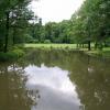 , Krzysztof Dorota