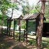 , mokunka