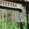 , mokunka