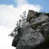 , mokunka