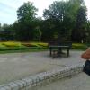 , marian