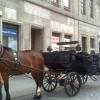 , marian