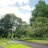 Miejski Ogród Botaniczny w Zabrzu