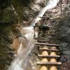 , Katarzyna Jamrozik