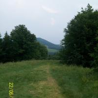czantoria, mirosław