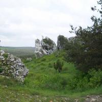 , Krzysztof Dorota