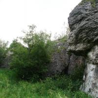 , mokunka