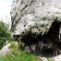 , mokunka