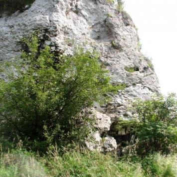 , mokunka
