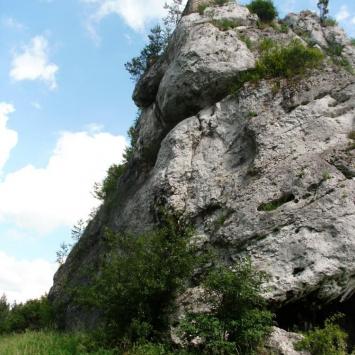 Ruiny w Ryczowie, mokunka