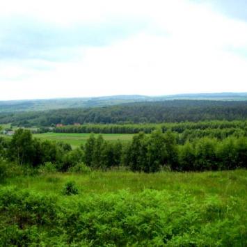 , Roman Świątkowski