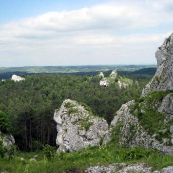 , Roman Świątkowski