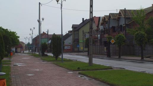 Zabudowa Ćmielowa, Tadeusz Walkowicz