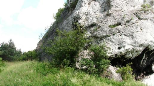 Ruiny strażnicy w Ryczowie, mokunka