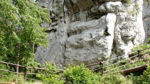 , mokunka