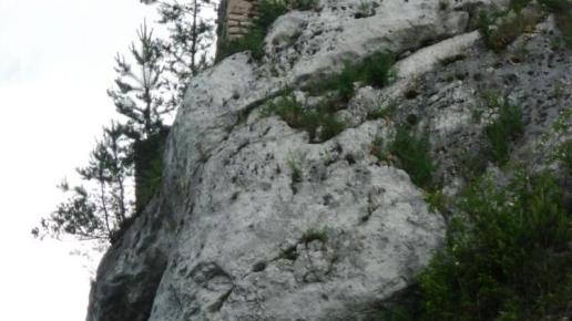 , mokunka