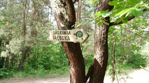 Jaskinia Głęboka, mokunka