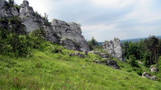 , Roman Świątkowski