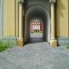 , Danusia