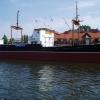 , Danusia