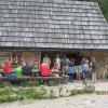 W kolejce, Tadeusz Walkowicz