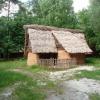 , mokunka