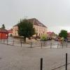 , mokunka