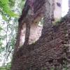 , mokunka