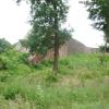 , mokunka