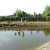 , mokunka