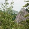 , mokunka