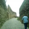 , marian