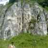 , marian