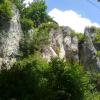 , marian