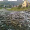 , marian