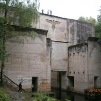 , Danusia