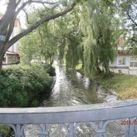 , Danusia