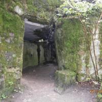 , Danusia