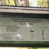 , Danusia