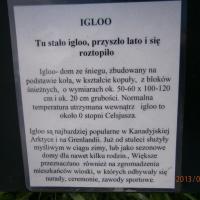 , Danusia