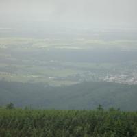 Widok z wieży, Ela