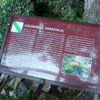 , mokunka