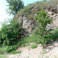 , mokunka